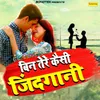 About Bin Tere Kaisi Zindgani Song